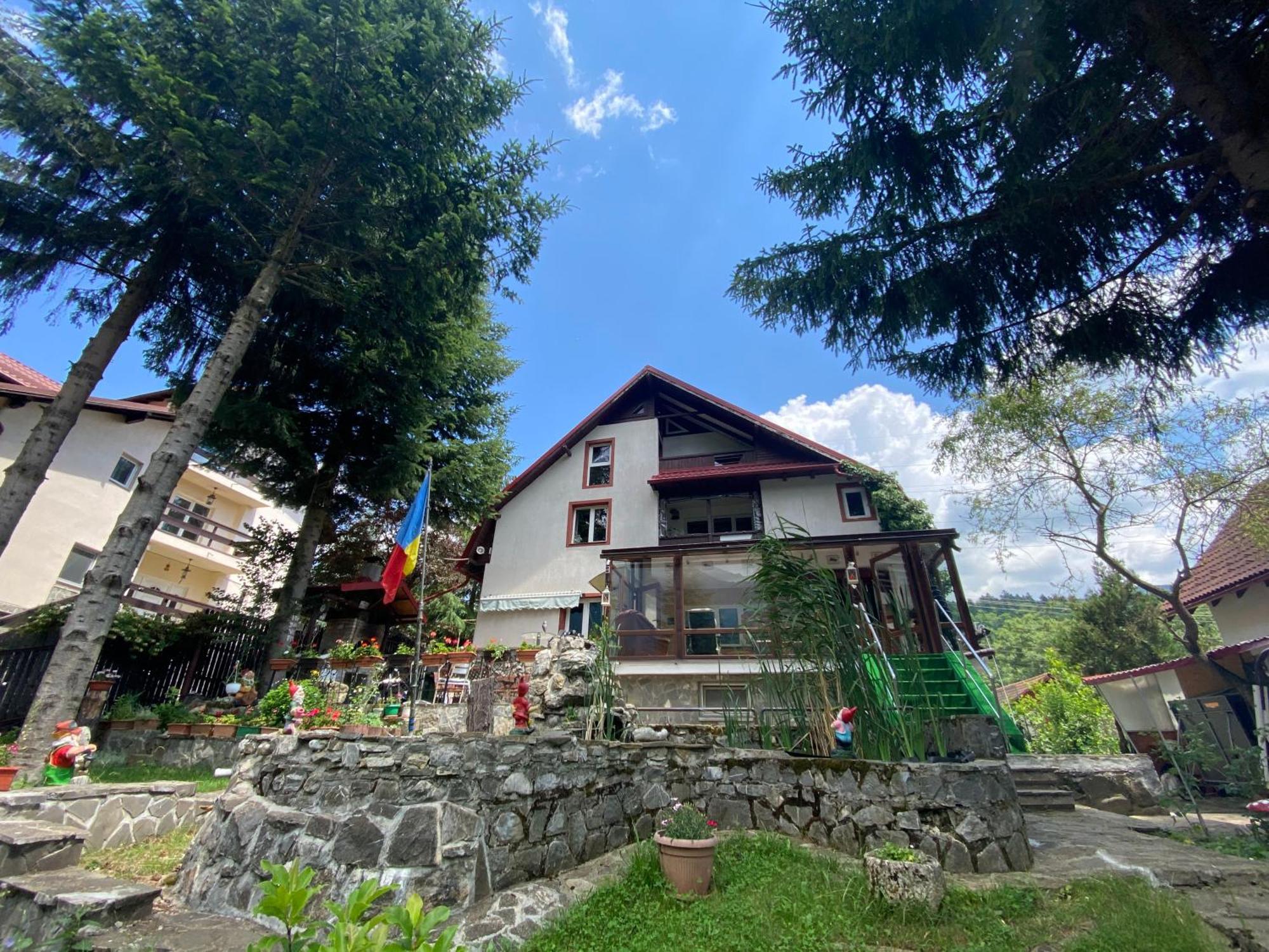 Vila Mara Buşteni Buitenkant foto