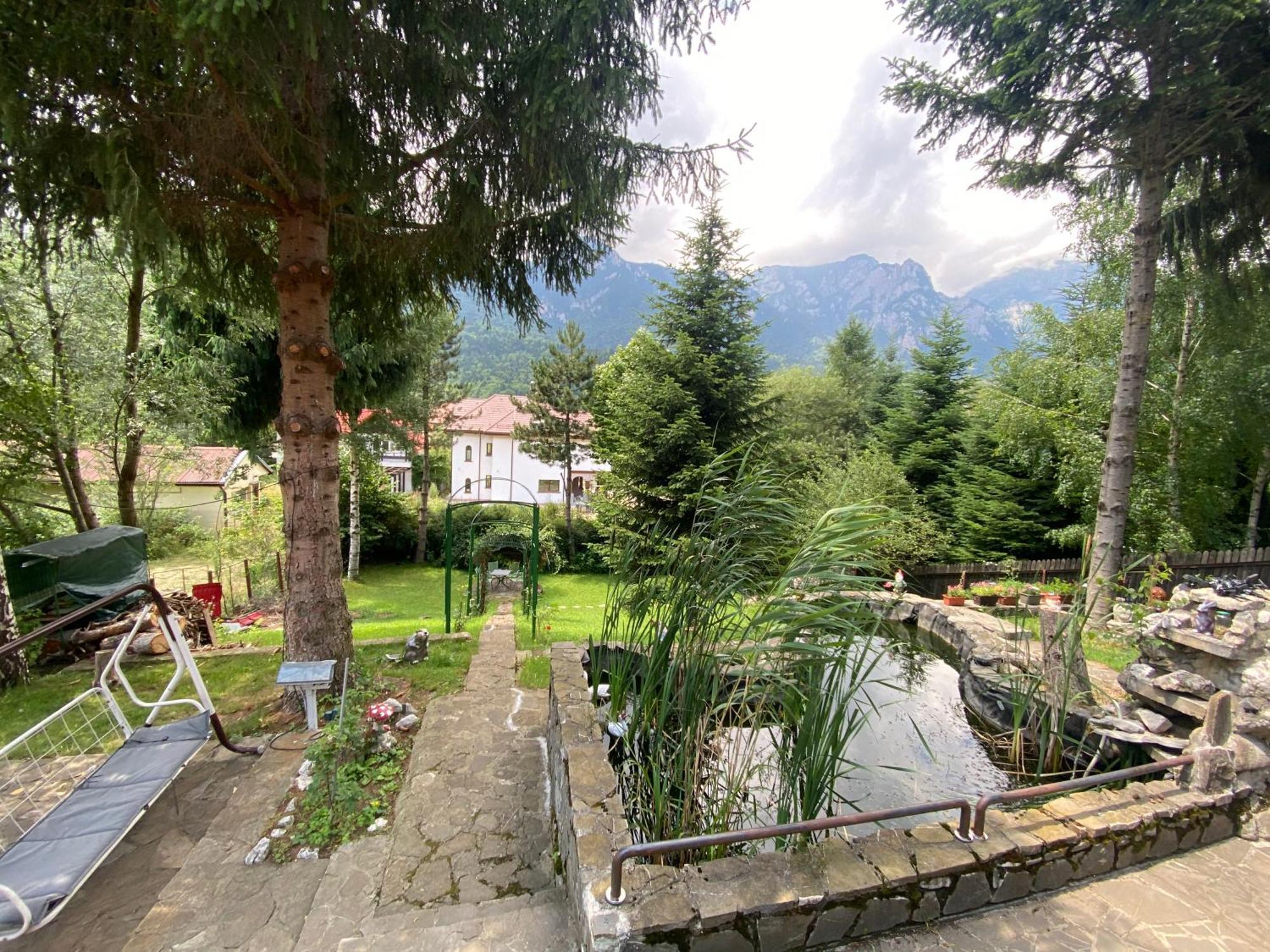 Vila Mara Buşteni Buitenkant foto