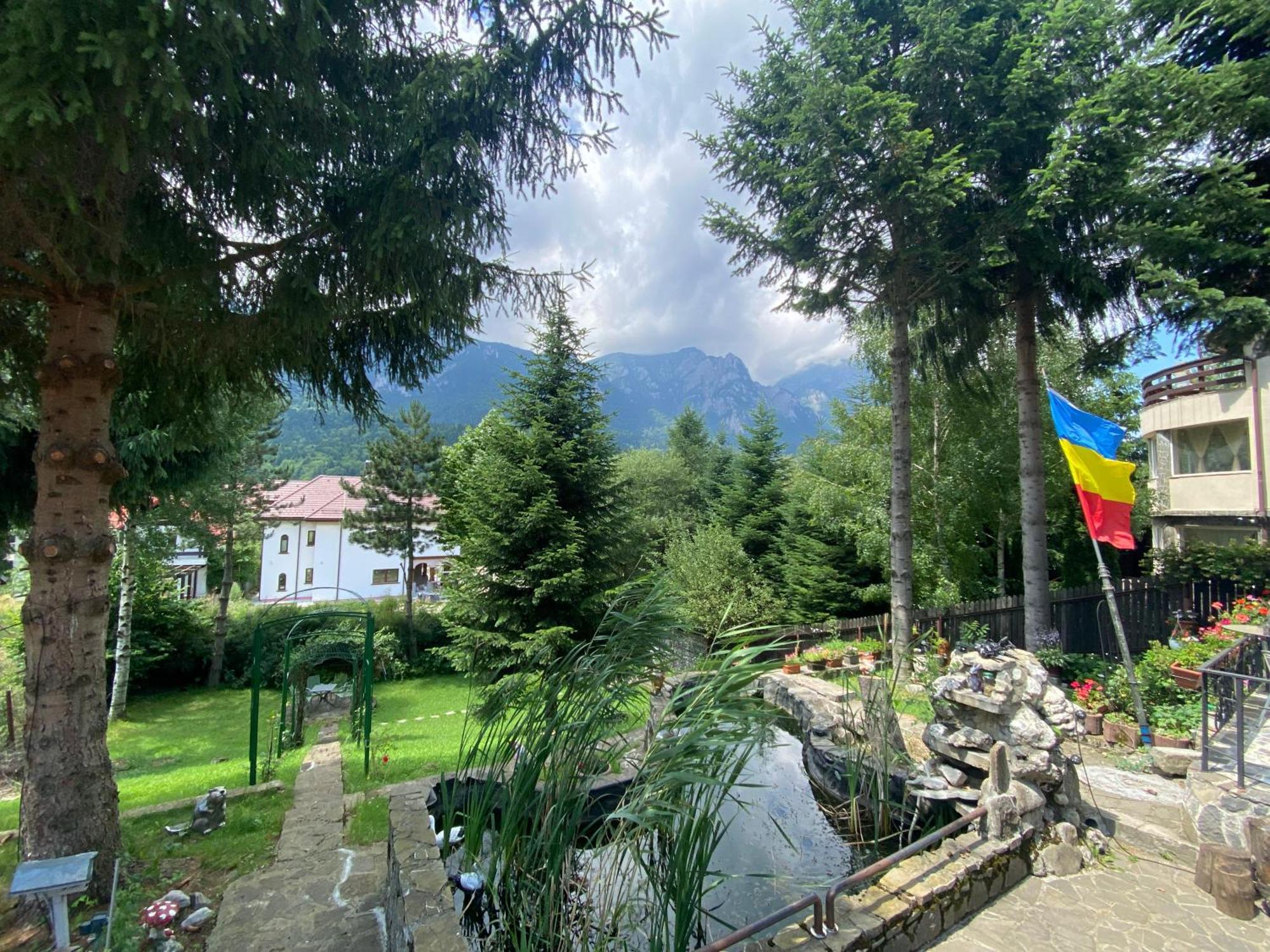 Vila Mara Buşteni Buitenkant foto