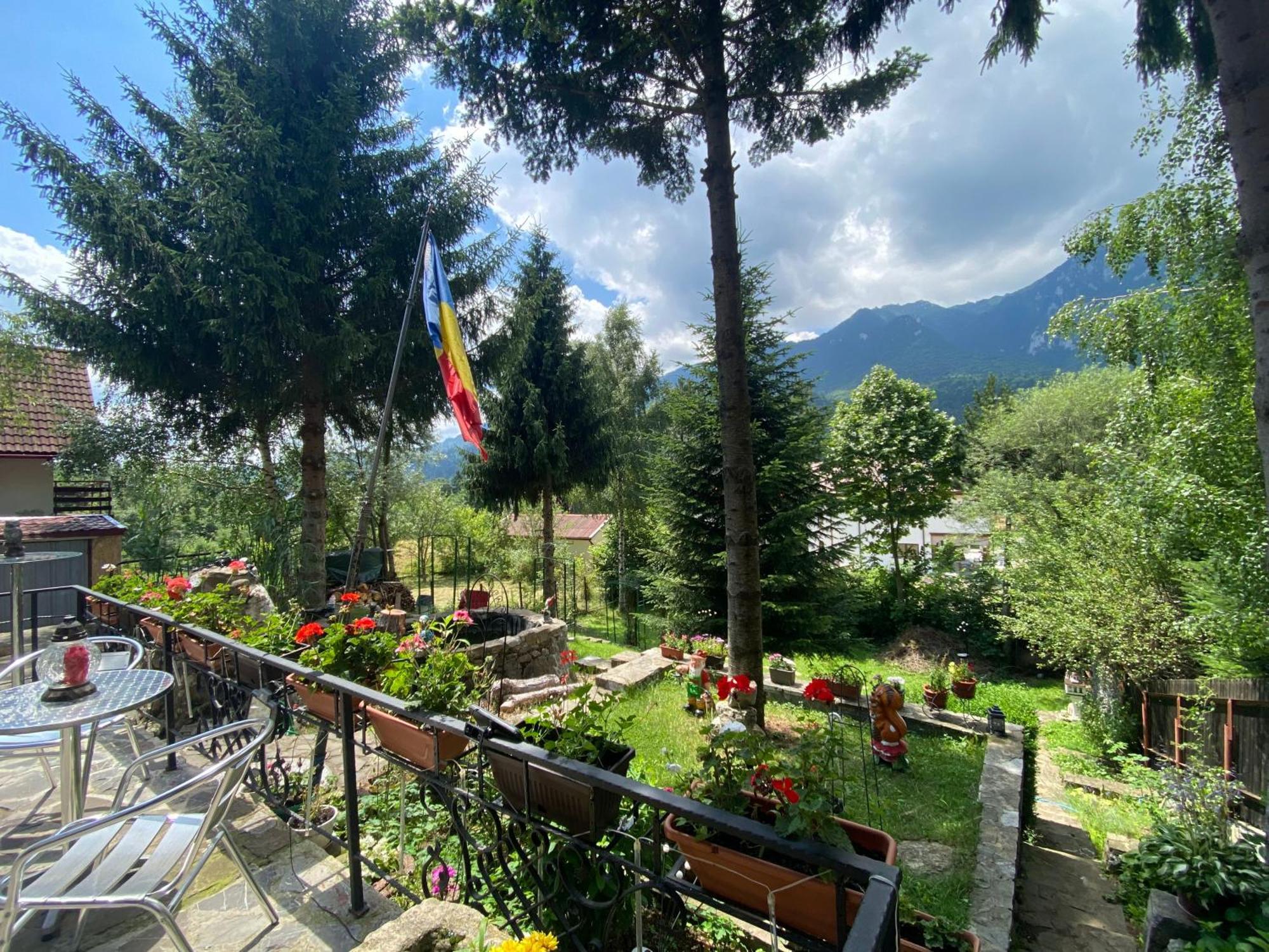 Vila Mara Buşteni Buitenkant foto